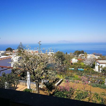Maryhome Anacapri  Eksteriør bilde
