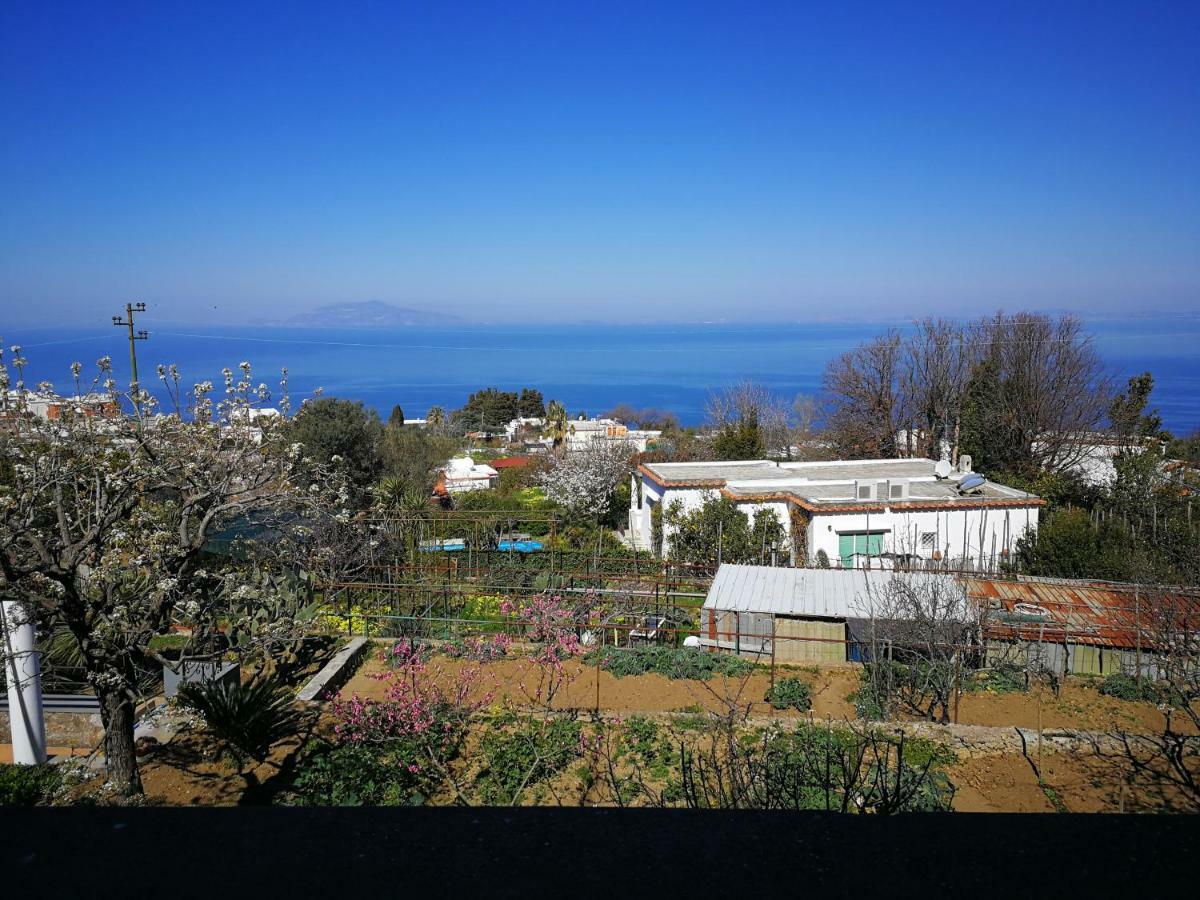 Maryhome Anacapri  Eksteriør bilde